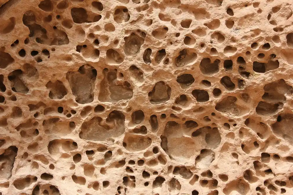 Osteoporosis Early Symptoms: 7 Silent Warning Signs Your Body Is Sending Osteoporosis Early Symptoms: 7 Silent Warning Signs Your Body Is Sending osteoporosis early symptoms