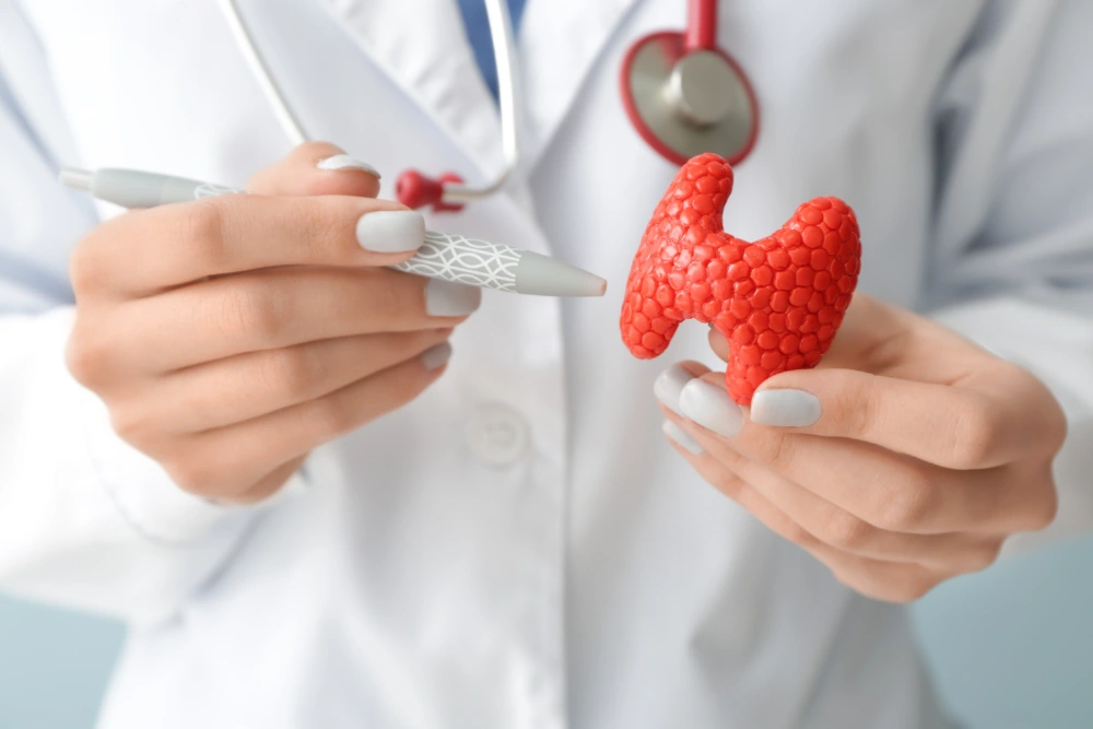 Bone Loss and Thyroid Disorders: 7 Warning Signs Most Patients Miss Bone Loss and Thyroid Disorders: 7 Warning Signs Most Patients Miss Bone Loss